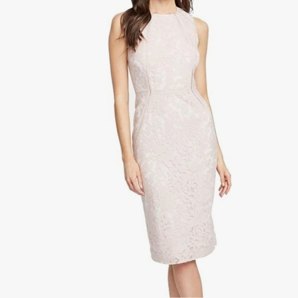 Rachel Roy Blush Lace Dress NWT - Picture 12 of 13